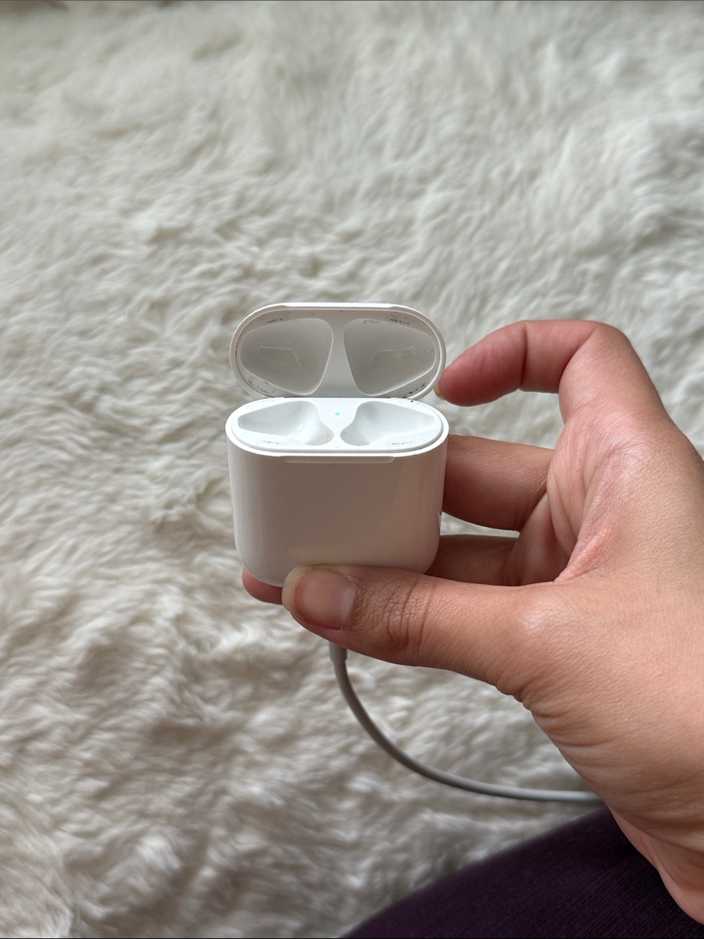 Apple Air Pods Charging case white